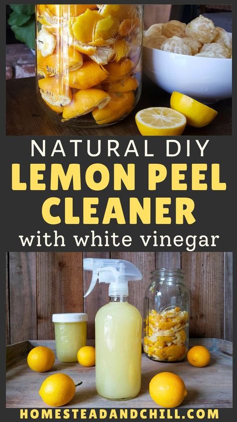 Don't let those lemon peels go to waste! Come learn how to make easy DIY natural lemon cleaner using lemons (or lemon peels) and white vinegar. The result is an effective, nontoxic, natural homemade cleaning spray you can use for countertops, sinks, glass, mirrors, the oven, car headlights, cutting boards, and more. It's also a great sustainable way to use lemon peels to reduce waste! Follow our step by step guide to learn how. Homemade Cleaner With Lemon Peels, Uses For Lemon Peels, Lemon Peels Uses, Lemon Peel Cleaner, Lemon Peel Uses, Lemon Vinegar Cleaner, Homemade Cleaning Spray, Garden Irrigation Ideas, Natural Home Scents