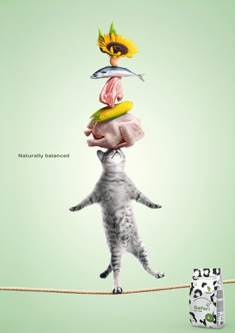 Pet Advertising, Pet Nutrition, 광고 디자인, Publicidad Creativa, Food Advertising, Food Ads, Animal Nutrition, Creative Poster Design, Creative Posters