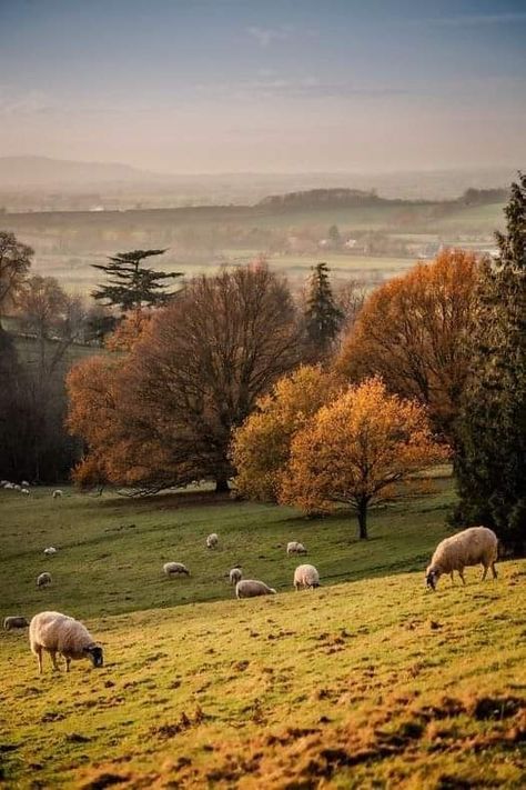 English Countryside Aesthetic, Welsh Countryside, England Aesthetic, England Countryside, Countryside Landscape, Scenery Pictures, Dream Cottage, Landscape Photography Nature, Country Scenes