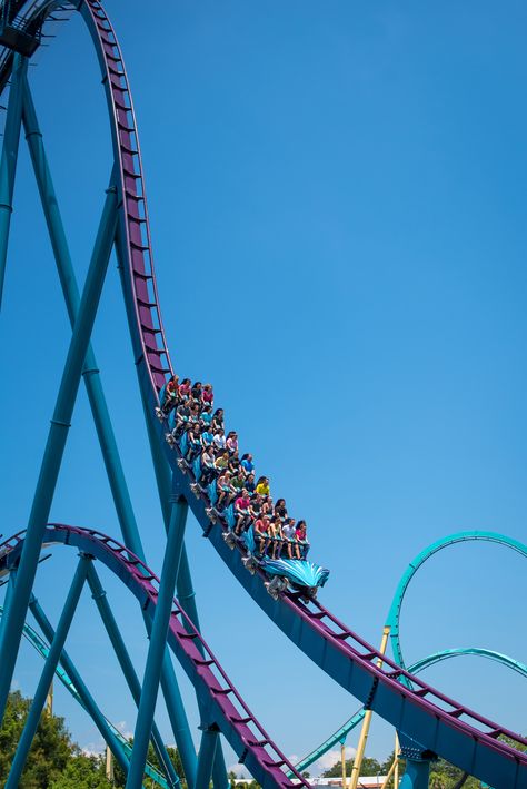 Feel as though you’re thrashing through the sea as you chase your prey on brand new Mako, Orlando’s fastest, tallest, longest AND only hypercoaster. Seaworld Aesthetic, Riding Roller Coaster Aesthetic, Sea World Florida, Orlando Sea World, Sea World Orlando, Roller Coasters At Night, Disneyland Roller Coaster, Universal Roller Coasters, Hawaiian Roller Coaster Ride