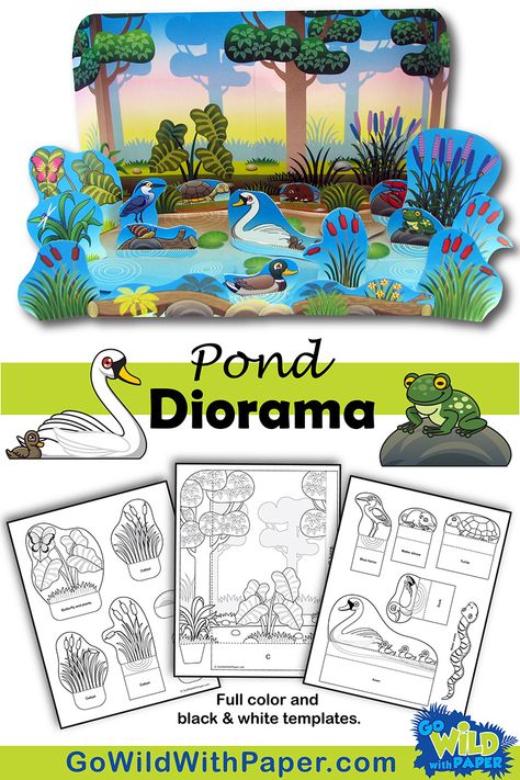 Tundra Diorama, Animal Habitat Diorama, Animal Habitat Activities, Habitat Diorama, Pond Habitat, Diy Diorama, Habitat Activities, Arctic Habitat, Black And White Coloring Pages