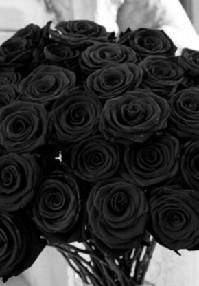 Garden Care, Black Halloween Costumes, Black Rose Flower, Natural Red Hair, Black Roses, Inspire Me Home Decor, Trendy Flowers, Black Halloween, Black Flowers