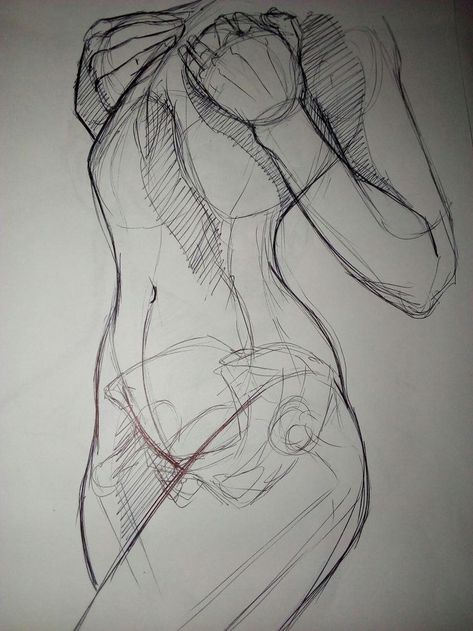 Female Falling Reference, Male Arched Back Reference, Anatomy Study Poses, Sketch Anatomy Woman, Line Drawing Anatomy, Multiple Hands Drawing, Back Anatomy Reference Female, Womens Anatomy Reference, Sketch Poses Female Anatomy Reference