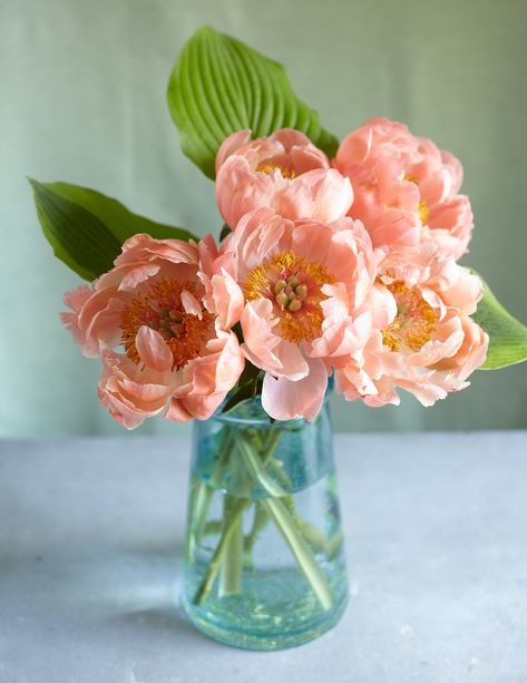 Cut Flower Food, Realistic Paper Flowers, Flowers In Glass Vase, Spring Decorating Ideas, Flowers Last Longer, Flower Room, Flower Vase Arrangements, Garden Indoor, Spring Decorating