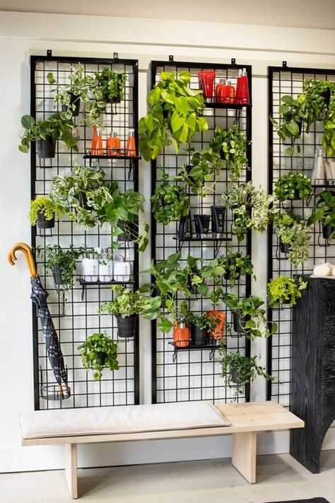 Wall plant holder