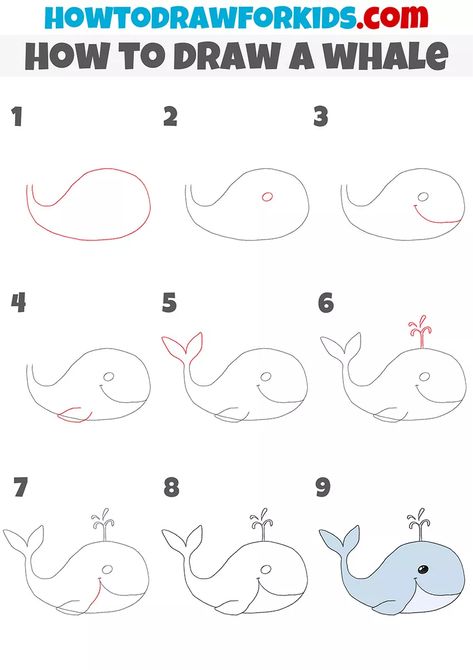 How to Draw a Whale Step by Step - Drawing Tutorial For Kids Easy Whale Drawing, Draw Whale, Draw A Whale, Under The Sea Drawings, Sea Creatures Drawing, Dolphin Drawing, Stone Animals, Bible Doodles, Whale Drawing