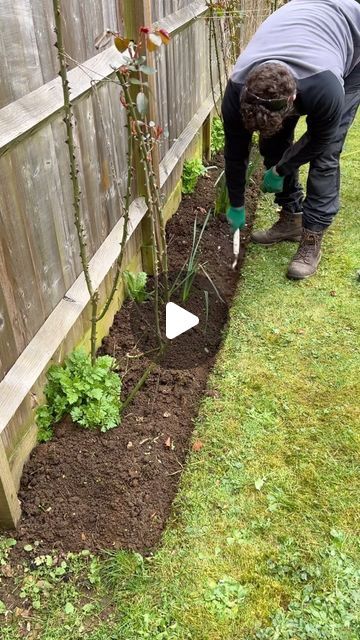 Acres Lawn Care on Instagram: "How to get a straight edge when edging lawns, #straight #edge #satisfying #satisfy #howto #garden #transformation #kentandstowe #amazing #spring #instagardeners #tools #handtools #relaxing" Garden Transformation, Rock Garden Landscaping, Outdoor Bathrooms, Garden Edging, Garden Landscape Design, Diy Landscaping, Small Backyard Pools, Budget Backyard, House Landscape