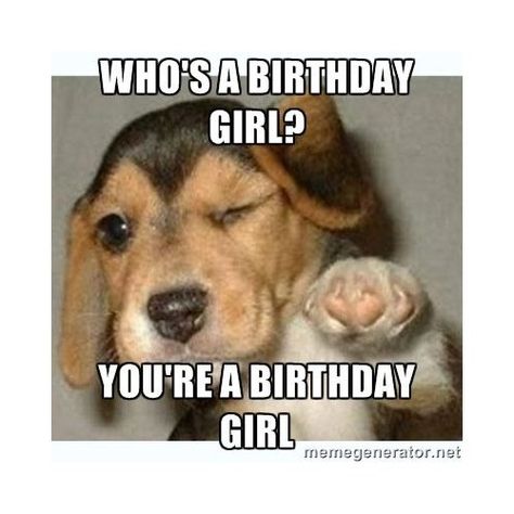 30 Happy Birthday Memes Happy Birthday Dog Meme, Birthday Meme Dog, Birthday Quotes Funny For Her, Happy Birthday Memes, Birthday Girl Meme, Happy Birthday For Her, Funny Happy Birthday Meme, Image Meme, Funny Happy Birthday Wishes