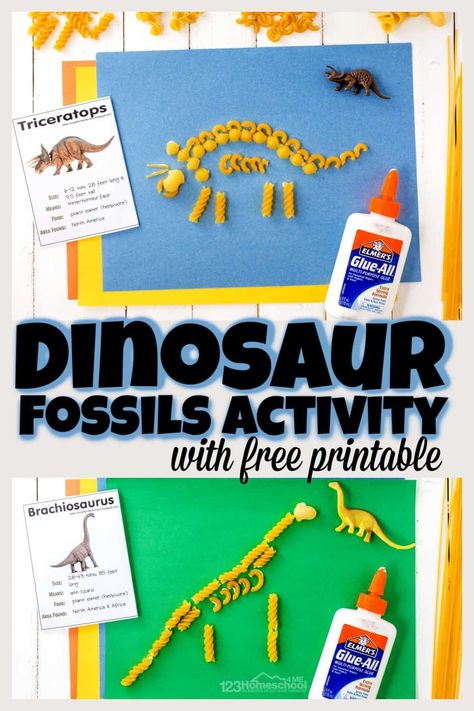 Make prehistoric dinosaurs come alive with this dinosaur fossils for kids activity! Toddler, preschool, pre-k, kindergarten, first grade and 2nd graders will have fun making fossils out of pasta using these free dinosaur fossil printables. Simply print pdf file with dinosaur printables and you are ready to play and learn about dinosaurs with this fossils for kids project. Kindergarten Fossil Activities, Dinosaur Water Activities, Noodle Dinosaur Craft, Dinosaur Activities First Grade, Dinosaur Week Preschool Crafts, Dinosaur Learning Activities Elementary, How Do Dinosaurs Go To School Craft, Dinosaur Projects 2nd Grade, All About Dinosaurs