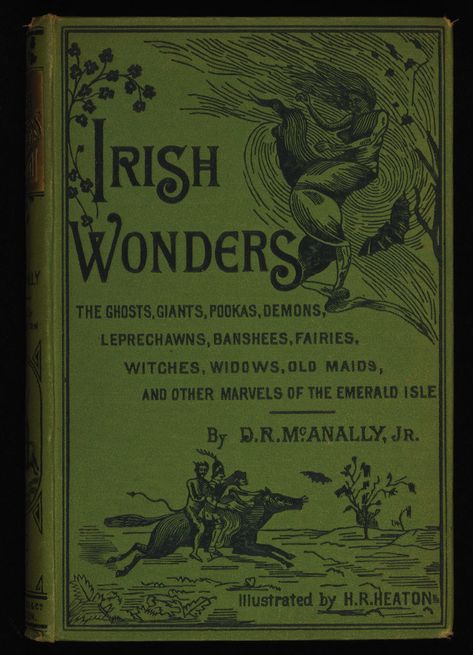 Irish Wonders ~ 1888 Irish Magic, Ancient Irish Art, Dublin University, Irish Books, Books About Ireland, The Book Of Kells Dublin Ireland, Ghost World, Irish Houses, Irish Travellers