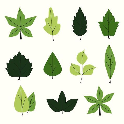 Free vector flat design green leaves set | Free Vector #Freepik #freevector #plant-leaf #plant #leaf #foliage Leaf Character, Simple Leaf Design, Pictures Of Leaves, Cartoon Leaf, Leaf Graphic, Doddle Art, Leaf Vector, Plant Icon, Cute Blue Wallpaper