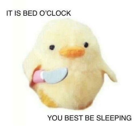 Duck Memes, Sleep Meme, Funny Af Memes, Response Memes, Cute Love Memes, Funny Duck, A Silent Voice, It Goes On, Cute Memes