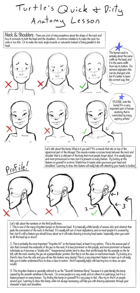 Side View Drawing, Anatomy Lessons, 얼굴 드로잉, Anatomy Tutorial, Drawing Heads, Turtle Art, Anatomy Drawing, Poses References, Anatomy Reference