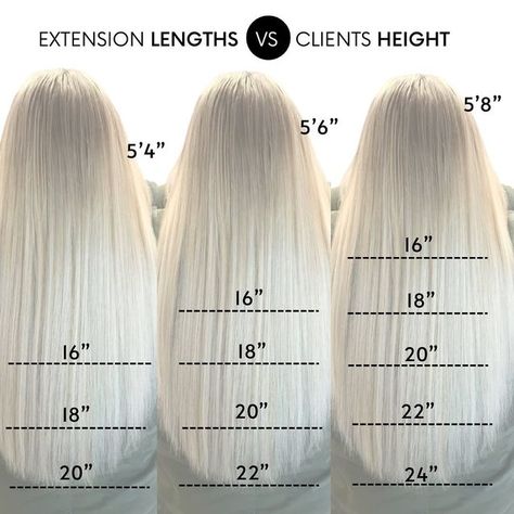 Hair length chart