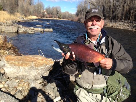 Gary Karbousky | Angler's Covey Fly Shop and Guide Service Kayak Fishing, Alaska Salmon Fishing, Dolly Varden, Marlin Fishing, Alaskan Salmon, Fishing Stuff, Salmon Fishing, Learn To Fly, Red Fish