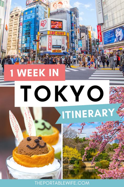 One Week In Japan Travel, Tokyo Bucket List Travel Tips, Visit Tokyo Things To Do In, 1 Week Japan Itinerary, Tokyo Japan Itinerary, Tokyo Vacation Japan Travel, Japan What To Do, 7 Days Tokyo Itinerary, Japan Must Visit Places