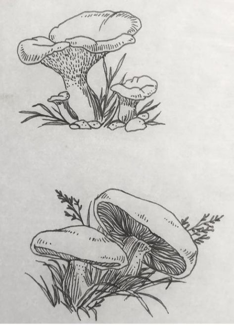 Vintage Mushroom Tattoo, Mushroom Tattoo Placement, Mushroom Hip Tattoo, Big Mushroom Tattoo, Mushroom Tattoo Linework, Hip Tattoo, Tattoos