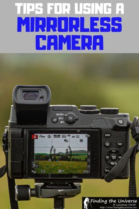 Mirrorless Camera Photography, Beginner Photography Camera, Nikon Mirrorless, Camera Basics, Best Camera For Photography, Manual Photography, Digital Photography Lessons, Photography Settings, Nikon D5200