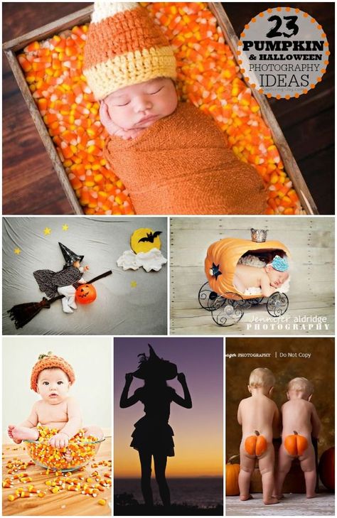 Taking Halloween Pictures, ideas for fun with kids and babies. Pumpkin Photography, Duke Photography, Photo Halloween, Baby Fotografie, Halloween Memes, Halloween Photography, Holiday Photography, Photographs Ideas, Foto Tips