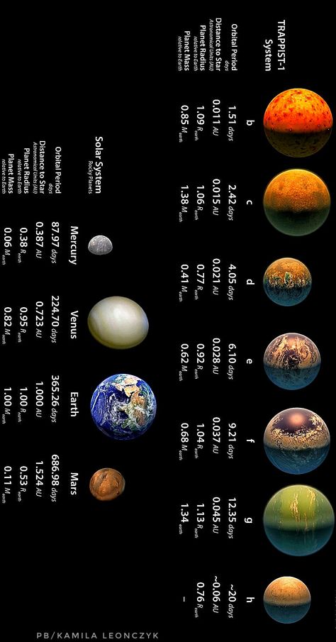 Characteristics of the seven TRAPPIST-1 worlds, compared to the rocky planets in our solar system.Astronomers have never seen anything like this before: Seven Earth-size alien worlds orbit the same tiny, dim star, and all of them may be capable of supporting life as we know it, a new study reports  Credit: NASA/JPL-Caltech Life As We Know It, Fantasy World Map, Tourism Poster, Solar System Planets, Nasa Jpl, Spiritual Thoughts, Alien Worlds, Space Nasa, Our Solar System