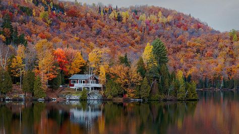 Visit Laurentians, Quebec, Canada for leaf peeping  - Gorgeous fall foliage! Fall In Canada, Saint John New Brunswick, Top Vacation Destinations, Whistler Village, Fall Vacations, Fall Colours, Eastern Canada, Visit Canada, Autumn Colours