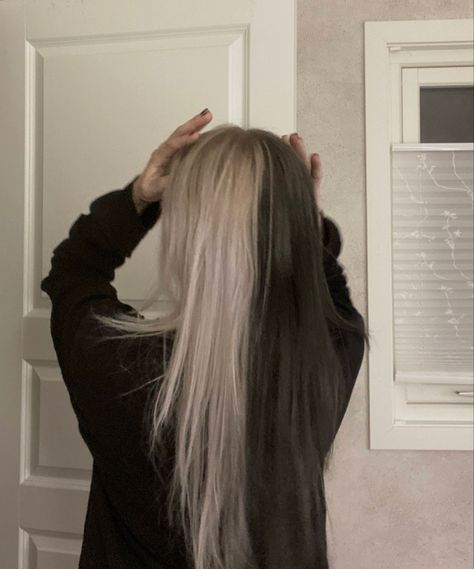 split dye hair black and white Split Dye Hair Ideas Brown, Blond And Brown Split Hair, Split Hair Underneath, Long Hair Split Dye, Hairstyles For Split Dyed Hair, Spilt Dye Hair Ideas Blonde, Split Hair Aesthetic, Black And Grey Hair Ideas, Black And Blonde Hair Split