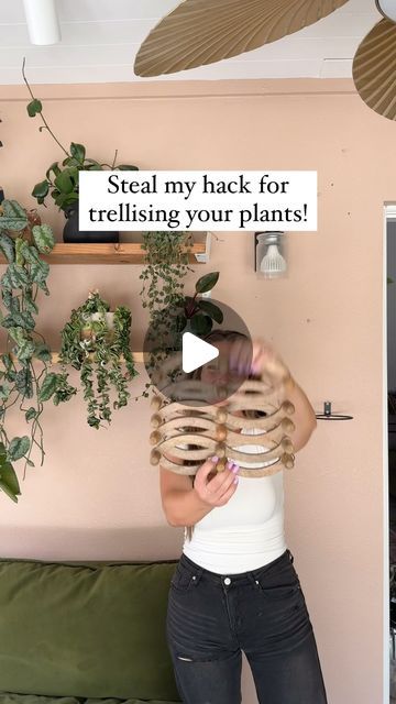 Chantel Gray | 🪴 Plants + DIY on Instagram: "Dust off your old coat hangers, fronds and use them as a plant trellis!  Here’s the link deets and where you can find everything! Or comment “growing on me” and I can DM you everything!!  Coat hanger - from @worldmarket if you want Amazon alternatives, they’re linked in my bio under “plant essentials”  Wall pot holder - linked in my bio under “plant essentials”!  Hanging catch tray for watering - linked in my bio under “CGH Hanging Catch Trays”! Or go to “channygrayhome.com” ☺️  Hope you create your own version of this!! Follow for more houseplant tips and inspo on your jungle journey!  Thoughts?!  xo - Chantel" Pathos Plant Trellis, Diy Plant Trellis Indoor, Plant Wall Shelf Ideas, Plant Essentials, Plant Wall Hanger, Plant Aesthetics, Wall Plants Indoor, Living Wall Indoor, Houseplant Tips