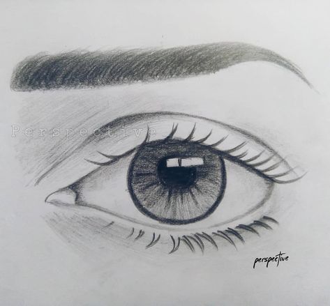 Eye sketche ✏️ Follow for more sketches ❤️ #eyesketch #sketch #eyedrawing #pupil #eyebrows #eyetutorialdrawing #eyetutorial #perspective… Eye Pupil Drawing, Eye Pupil, Eye Sketch, Meaningful Drawings, Eye Tutorial, Eye Drawing, Follow For More, Eyebrows, Literature