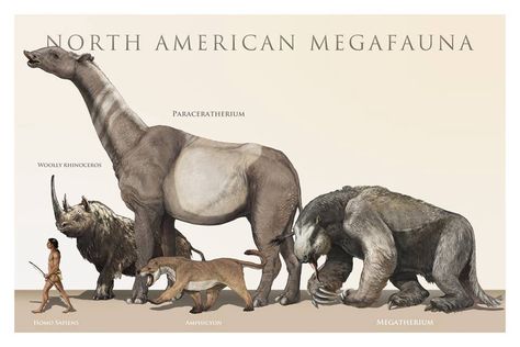 Mamiferos Younger Dryas, Ground Sloth, Prehistoric Wildlife, Fantasy Concept, Prehistoric World, Ancient Animals, Prehistoric Art, Paleo Art, Big Animals