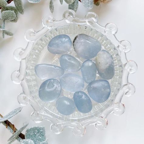 T H E C R Y S T A L B A R ☾© on Instagram: "🤍 CELESTITE 🤍 Celestite, also known as Celestine, is a mineral that forms blue crystals. Celestite is often associated with divine power and is thought to increase understanding, higher consciousness, as well as mindfulness when used in meditation and prayer. Celestite crystals are beneficial healing crystals for you to utilise to aid you to contact your guardian angels. They are a soft blue colour and have a high vibration, that is excellent to us Celestite Aesthetic, Blue Crystals Aesthetic, Maleficent Oc, Spotify Background, Crystals Celestite, Alyssa Targaryen, Spirit Journal, Celestine Crystal, Lady Aphrodite