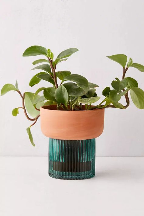 Planter Design, Unique Planter, Self Watering Planter, Busy People, Small Planter, Self Watering, Plant Mom, Plant Lady, Plant Life