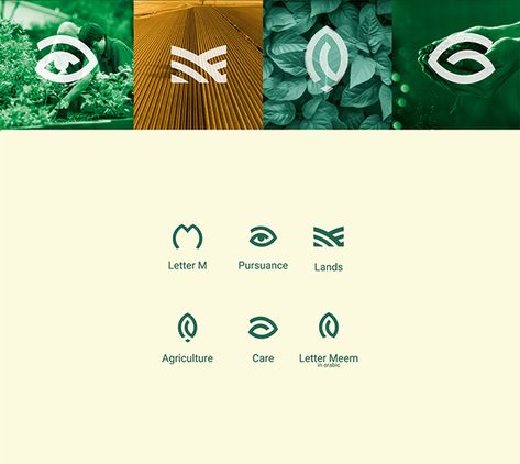 Mozarea visual identity and logo design project for an agricultural services company. This branding initiative combines key agricultural symbols like a leaf and plowed lines with the Arabic letter 'م' and English 'M,' creating a unique logo that embodies sustainable farming, land care, and environmental stewardship. Ideal for searches related to agriculture branding, farm logo design, and agribusiness visual identity Farmhouse Logo Design, Agriculture Brand Identity, Agriculture Graphic Design, Agriculture Branding, Farm Graphic Design, Plant Branding, Plant Logo Design, Agro Logo, Sustainability Logo