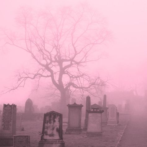 Graveyard Aesthetic, Draculaura Aesthetic, Creepy Cute Aesthetic, Arte Occulta, Baba Jaga, Pink Goth, Pink Grunge, Charmmy Kitty, Catty Noir