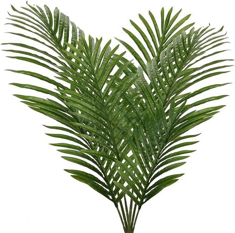 Amazon.com: Large Artificial Palm Leaves Palm Fronds Tropical Leaves Areca Palm Branches Palm Leaves with Stem Palm Tree Leaves Faux Palm Leaves for Floral Arrangement Fake Leaves Palm Sunday Decor-Large Leaf : Home & Kitchen Fake Leaves, Artificial Palm Leaves, Tropical Party Decorations, Palm Branch, Greenery Arrangements, Areca Palm, Palm Tree Leaves, Faux Leaf, Palm Plant