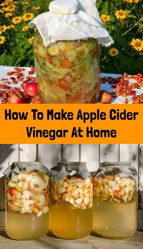 Apple Cider Vinegar Homemade, Homemade Apple Cider Vinegar, Make Apple Cider, Apple Cider Vinegar Recipes, Make Apple Cider Vinegar, Homemade Apple Cider, Fermentation Recipes, Natural Cold Remedies, Cold Home Remedies