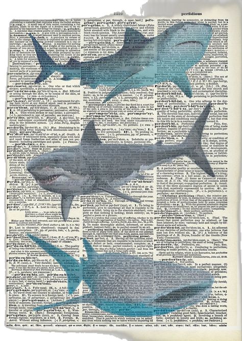 Posters For Blue Room, Sharks Of The World Poster, Whale Poster Vintage, Ocean Posters Vintage, Sea Creature Poster, Ocean Prints For Walls, Sea Life Poster, Cozy Room Posters, Ocean Theme Poster