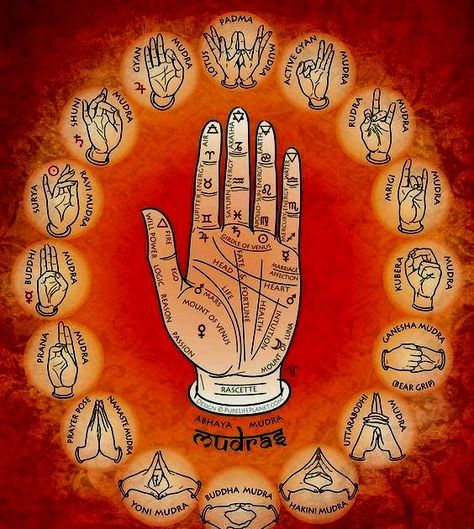 Kirtan Kriya, Cardigans Knitted, Gyan Mudra, Hand Mudras, Chakra Health, Yoga Facts, Yoga Mantras, Seven Chakras, Les Chakras