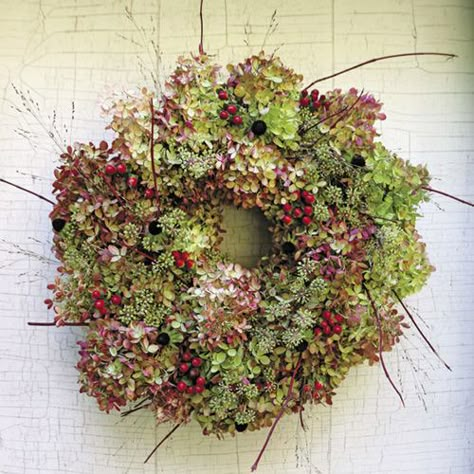 Dried Hydrangeas Wreath, Gardening Magazine, Fine Gardening Magazine, Big Leaf Hydrangea, Bigleaf Hydrangea, Panicle Hydrangea, Straw Wreath, Oakleaf Hydrangea, Boho Chique