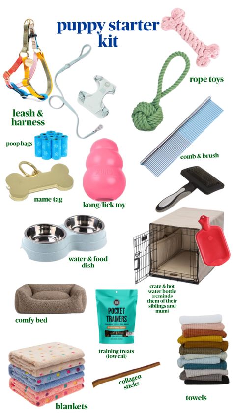 inspiration for what you might need to bring home your puppy! Puppy Room Decor, Boy Dog Accessories, Puppy Starter Kit, Puppy Room, Puppy Mom, Puppies Tips, Puppy Accessories, Training Treats, Boy Dog