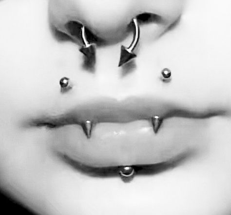 Goth Lip Piercing, Canine Bites Piercing Aesthetic, Angel Fang Peircings, Vampire Fangs Piercings, Angle Bite Fangs Piercing, Angel Bites Piercing Aesthetic, Angle Bites Piercings, Vampire Fang Piercing, Vampire Piercing Mouth