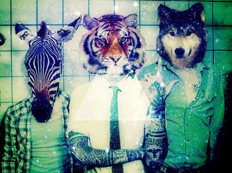 Tiger triangle tumbler 2013 Swag Era, Animal Heads, Silly Pictures, My Chemical, Really Funny Pictures, What’s Going On, Mood Pics, Funny Images, Art Inspo