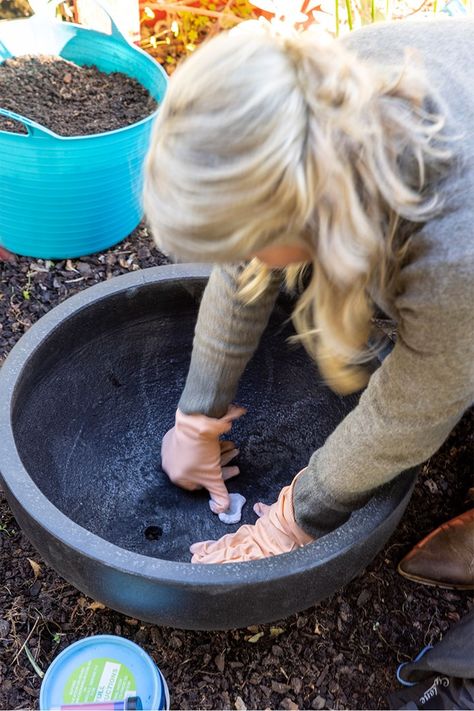 Bowl Water Features In The Garden, Diy Bowl Water Feature, Bowl Fountain Outdoor, Water Bowls Garden, Water Bowl Fountain, Tropical Garden With Water Feature, Bowl Water Feature, Fountain Bowl Garden, Outdoor Garden Fountain