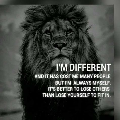 Lion Quotes, Wolf Quotes, Life Wisdom, Lion Pictures, Warrior Quotes, Personal Quotes, Strong Quotes, Badass Quotes, A Lion