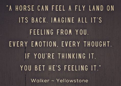 Horse Therapy Quotes, Horseback Riding Quotes, Yellowstone Quotes, Inspirational Horse Quotes, Western Quotes, Horse Riding Quotes, Equestrian Quotes, Cowboy Quotes, Riding Quotes