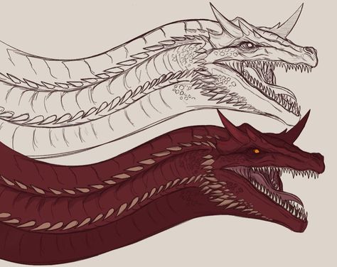 Caraxes Dragon, Mortal Kombat Tattoo, Monster Hunter Art, Game Of Thrones Dragons, Got Dragons, Dragon Sketch, Creature Artwork, Dragon Illustration, Game Of Thrones Art