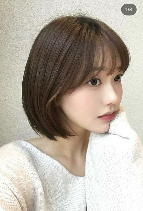 Chae Soo Bin Short Hair, Korean Short Hairstyle, Japanese Short Hair, Haircut Inspo, Haircut 2024, Korean Short Hair, Korean Shorts, Easy Hair Cuts, New Haircuts