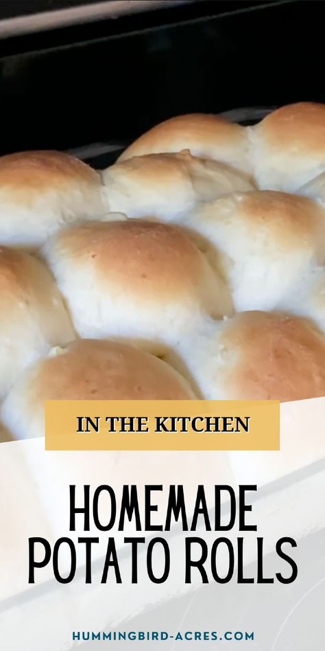 Make these irresistible homemade potato rolls that are light, fluffy, and perfect for any meal. Ideal for beginners and experienced bakers alike! Potato Roll Recipe, Potato Dinner Rolls, Potato Rolls Recipe, Potato Candy, Potato Rolls, Scratch Cooking, Instant Mashed Potatoes, Potato Dinner, Moms Cooking