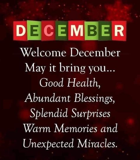 1st December Blessings Quotes, Happy New Month Of December, Happy New Month December Wishes, Good Morning December Quotes, December Quotes Happy, Good Morning December, Welcome December Images, Happy New Month December, Welcome December Quotes