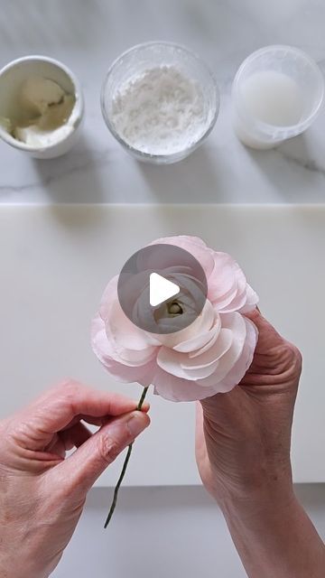 Jacqueline Butler on Instagram: "Playing with proportions. This wafer paper ranunculus has a smaller, tighter center with longer overbloomed petals. And a pretty ombre colorway from pale to light pink. Happy Thursday!   #waferpaperranunculus #waferpaperflowers #petalsweetcakes #fineartistryforcake" Wafer Paper Tulips, Wafer Paper Flowers Cake, Wafer Paper Flowers Tutorial, Wafer Flowers, Wafer Paper Tutorial, Paper Ranunculus, Wafer Paper Flowers, Wafer Paper Cake, Paper Rosettes