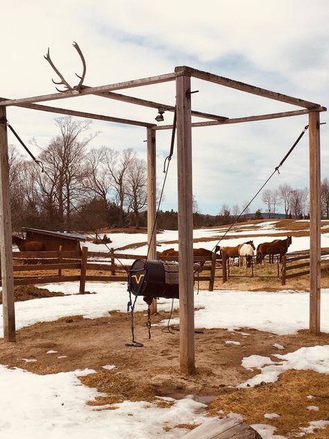 Outdoor Rodeo Arena, Bucking Barrel, Outdoor Riding Arena, Farm Backyard, Equine Facility, Horses Farm, Horse Rodeo, Ranch Horse, Bucking Bulls